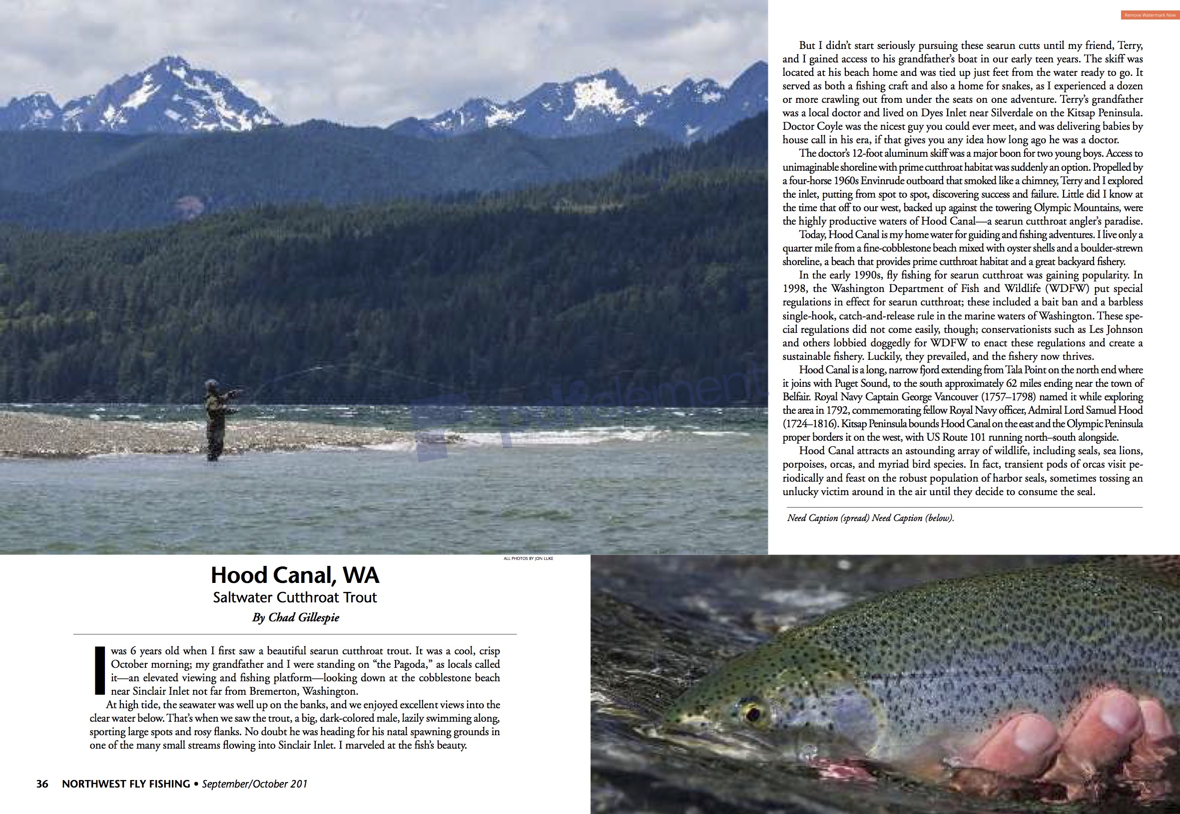 Hood Canal Northwest FF Article(50 dpi low quality) Fjord Fly Fishing