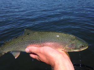 Fjord Fly Fishing