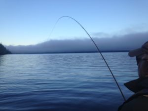Fjord Fly Fishing - Fish On!
