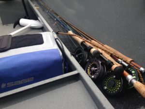 Searun Cutthroat Fly Fishing in Puget Sound Seattle Washington