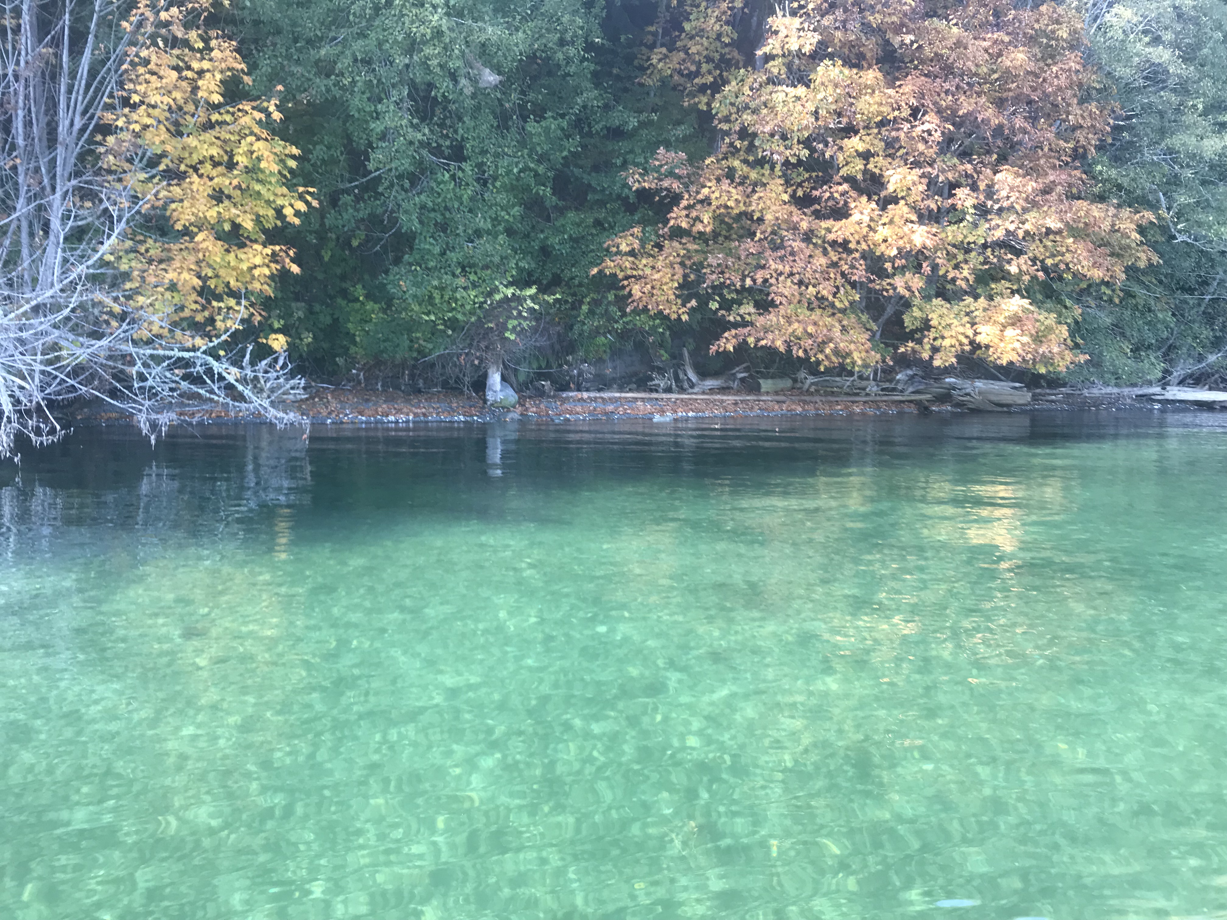 Hood Canal Fly Fishing